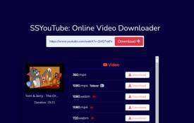 What Video Formats Does Savefromnet.tube Support?